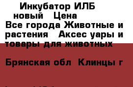 Инкубатор ИЛБ-0,5 новый › Цена ­ 35 000 - Все города Животные и растения » Аксесcуары и товары для животных   . Брянская обл.,Клинцы г.